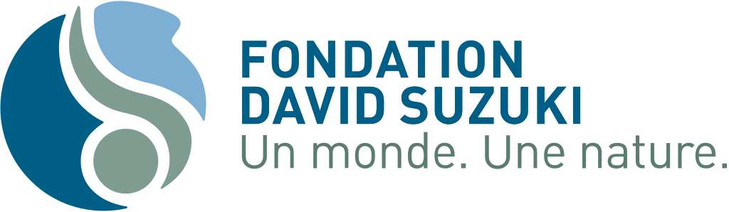 Fondation David Suzuki